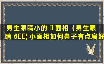 男生眼睛小的 ☘ 面相（男生眼睛 🐦 小面相如何鼻子有点扁好看吗）